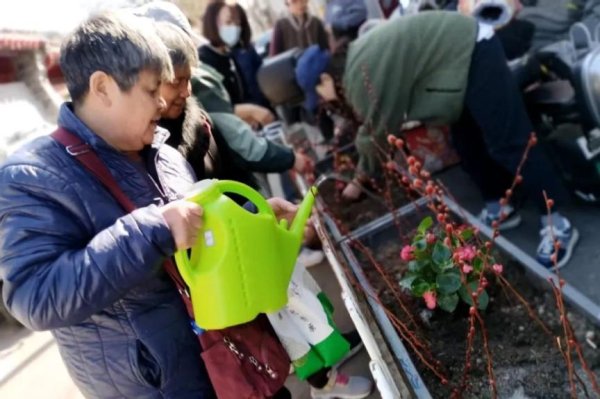 全国十大正规配资 配种绿植、家庭认养……社区居民齐参与，胡同花箱焕新生