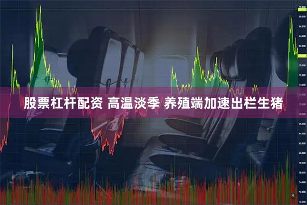 股票杠杆配资 高温淡季 养殖端加速出栏生猪