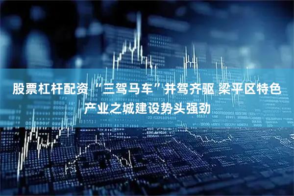 股票杠杆配资 “三驾马车”并驾齐驱 梁平区特色产业之城建设势头强劲